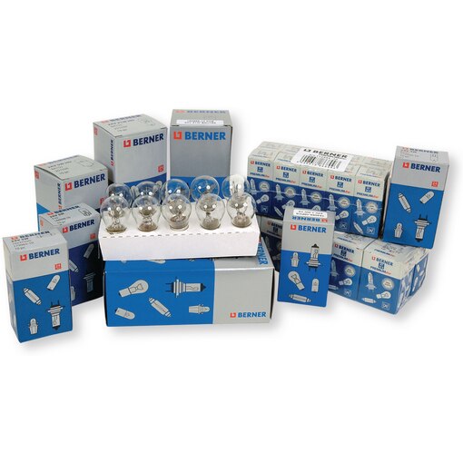 Assortiment 100 Ampoules 24 V